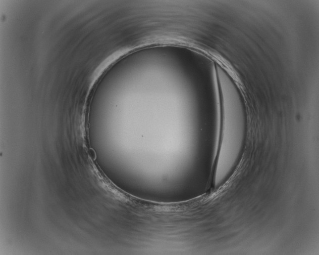 X0000086080904200704091258