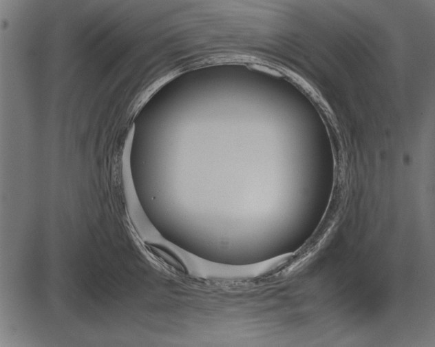 X0000086080905200704091258