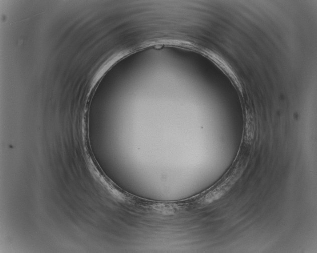 X0000086080906200704091258