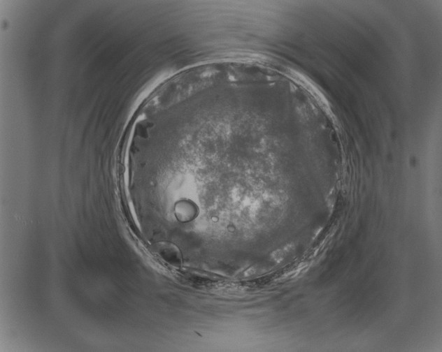 X0000086080907200704091258