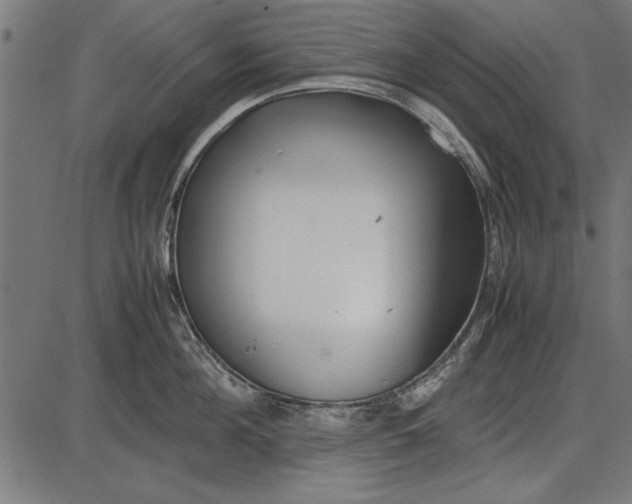 X0000086080908200704091258