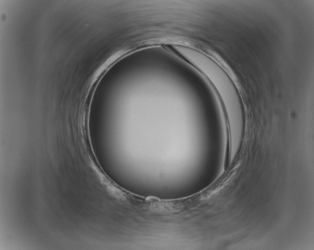 X0000086080909200704091258