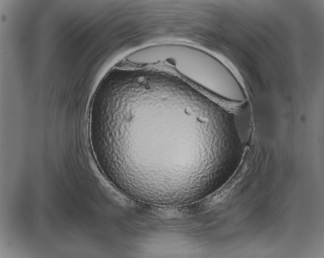 X0000086080911200704091258