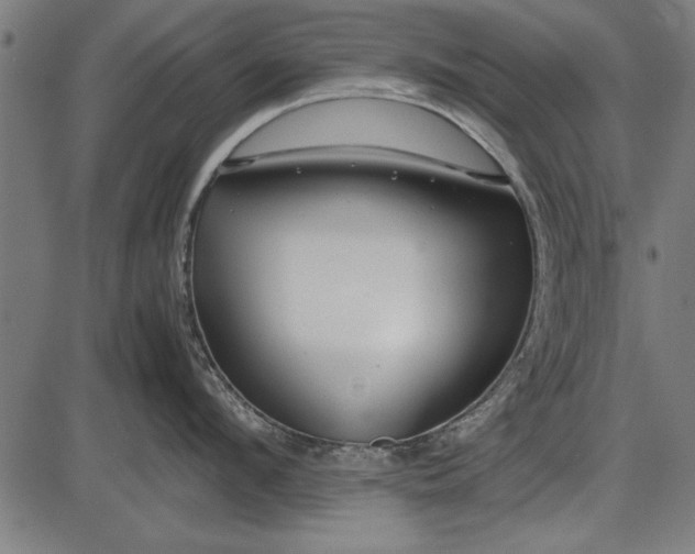 X0000086080912200704091258