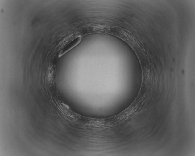 X0000086080914200704091257