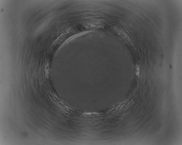 X0000086080915200704091257