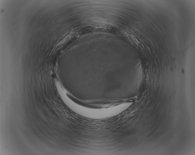 X0000086080916200704091257