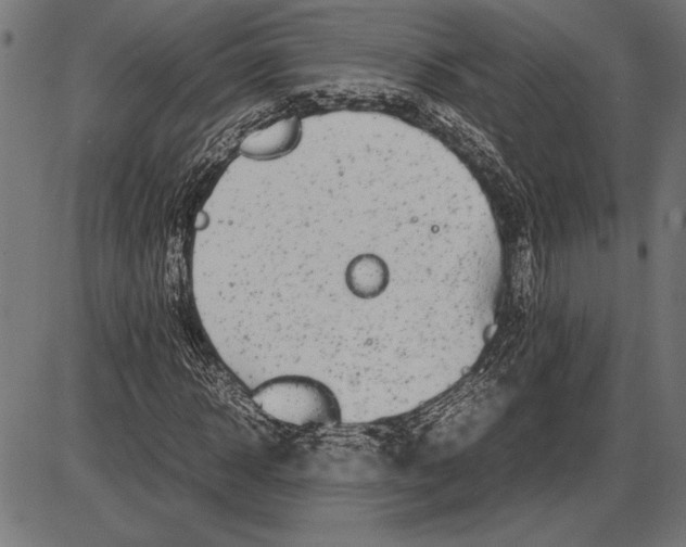 X0000086080918200704091257