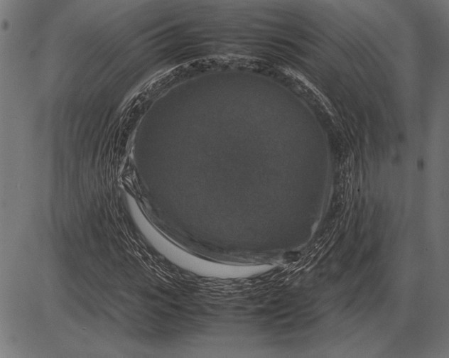 X0000086080919200704091257