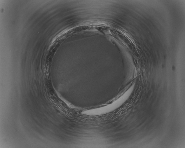 X0000086080920200704091257