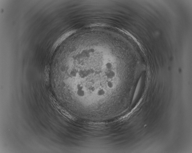 X0000086080921200704091257