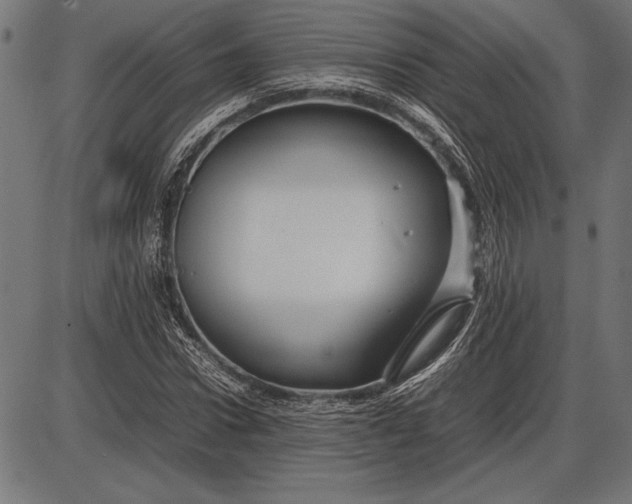 X0000086080922200704091257