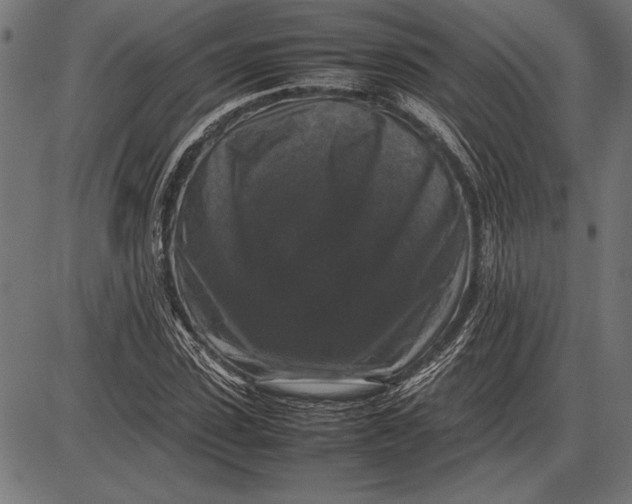 X0000086080923200704091257