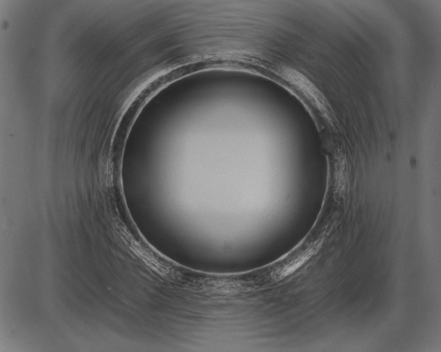 X0000086080924200704091257