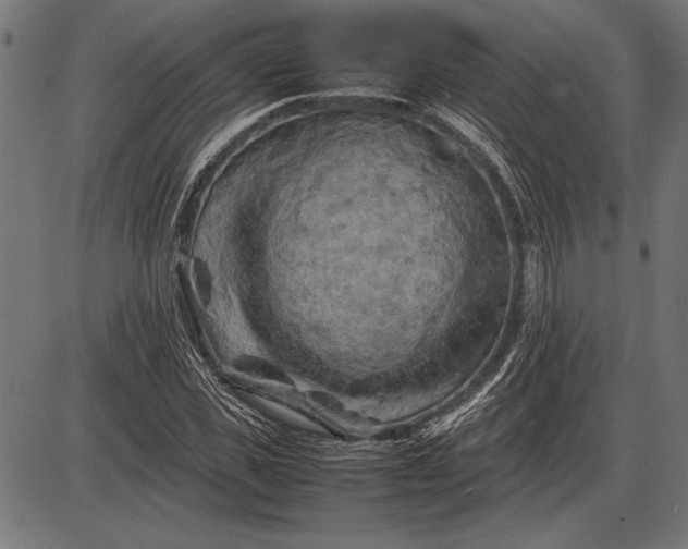 X0000086080925200704091257