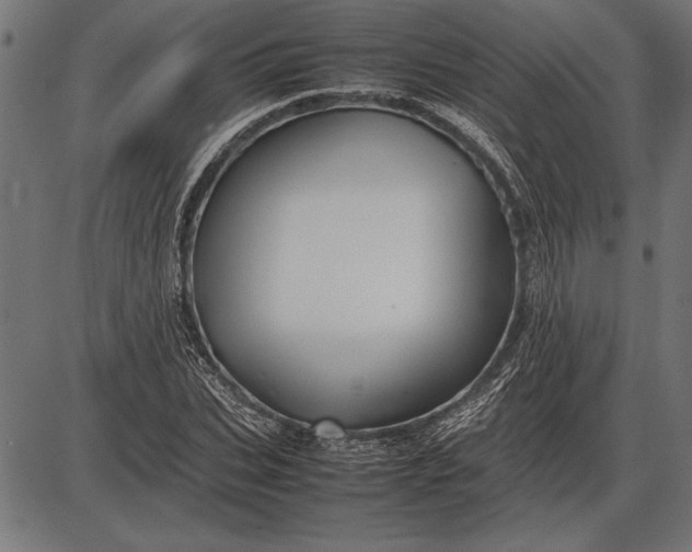 X0000086080927200704091257