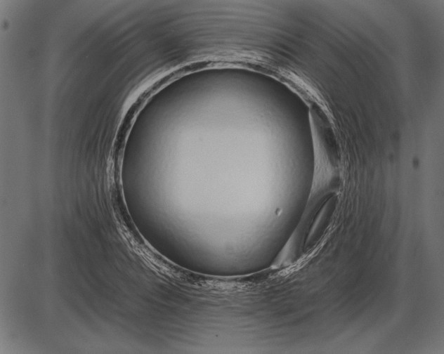 X0000086080928200704091257