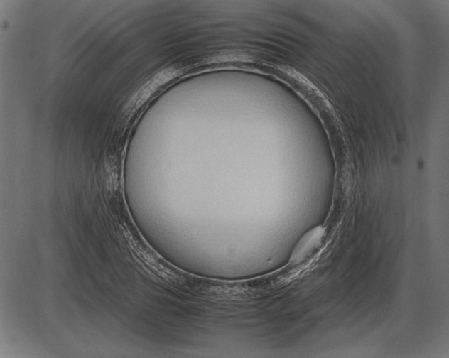 X0000086080929200704091257