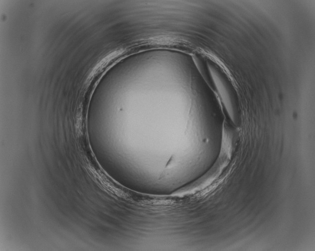 X0000086080930200704091257