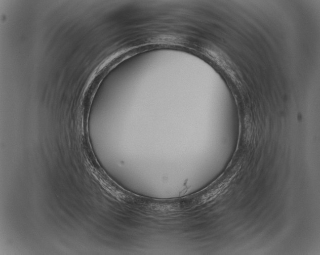 X0000086080931200704091257