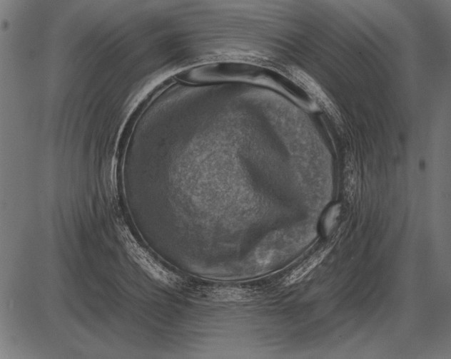 X0000086080932200704091257