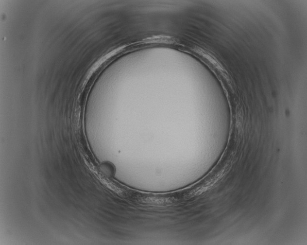 X0000086080933200704091257