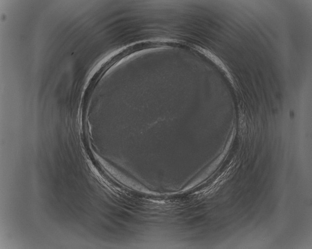 X0000086080935200704091257