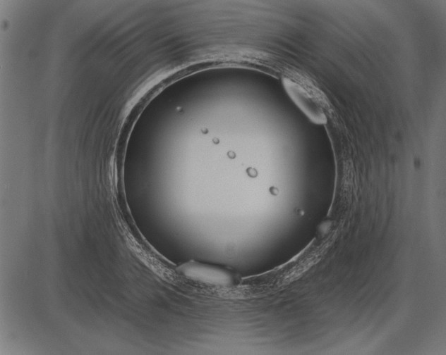 X0000086080936200704091257