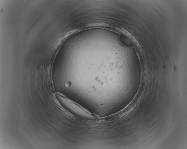 X0000086080937200704091257