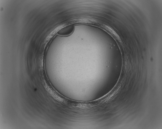 X0000086080938200704091257