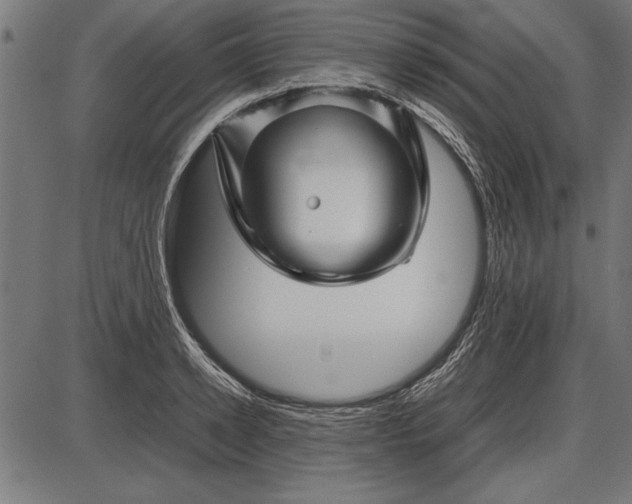 X0000086080942200704091257