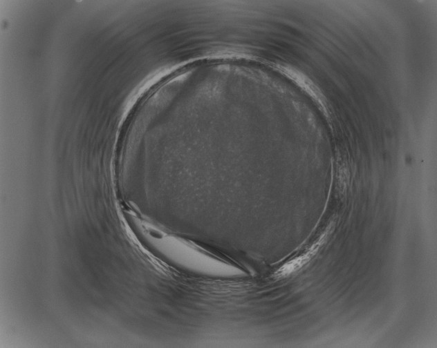 X0000086080943200704091257