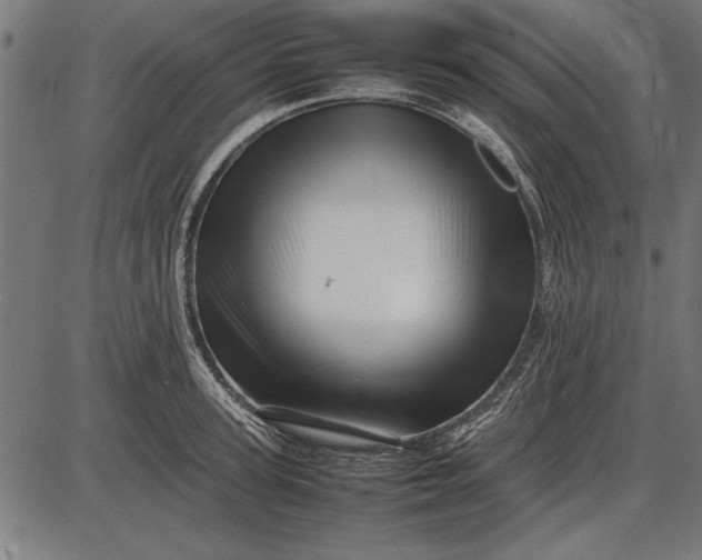 X0000086080947200704091257