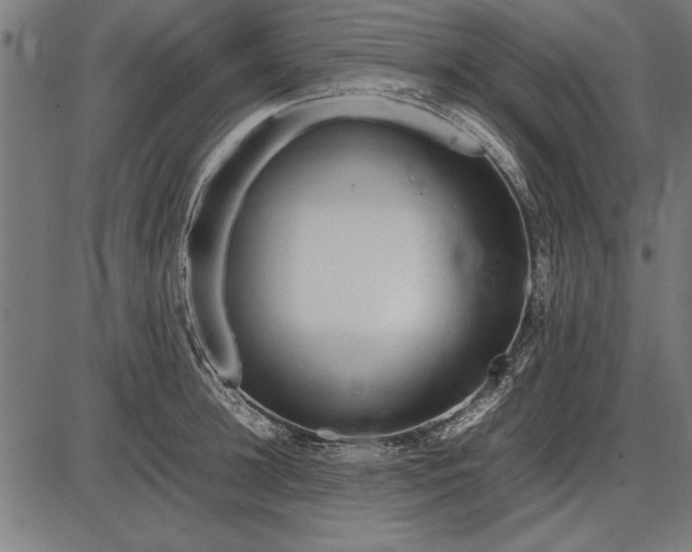 X0000086080948200704091257