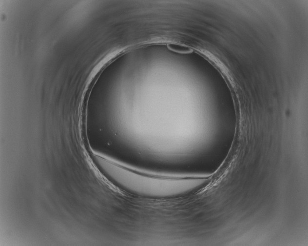 X0000086080949200704091257