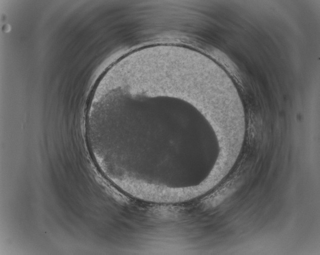 X0000086080950200704091257