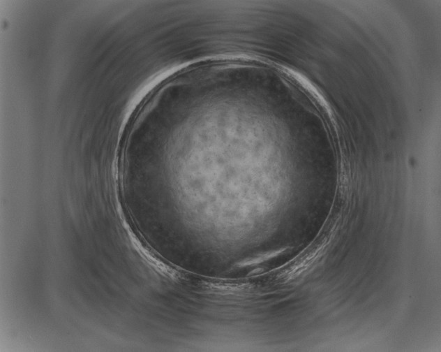 X0000086080951200704091257