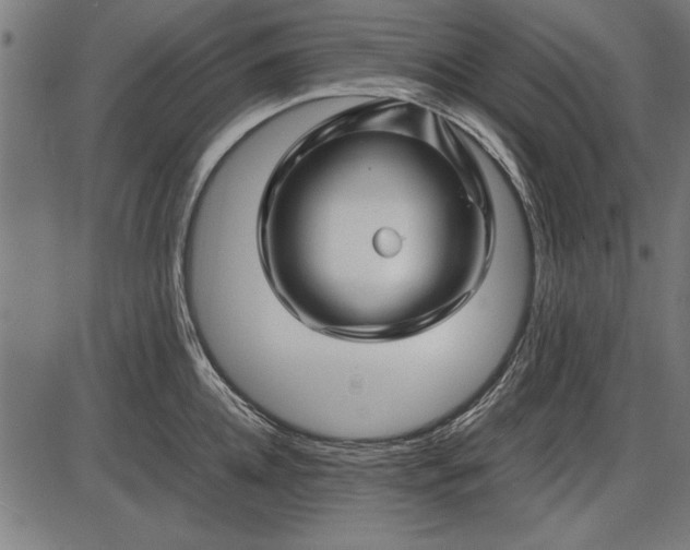 X0000086080952200704091257