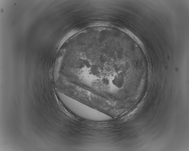 X0000086080953200704091257