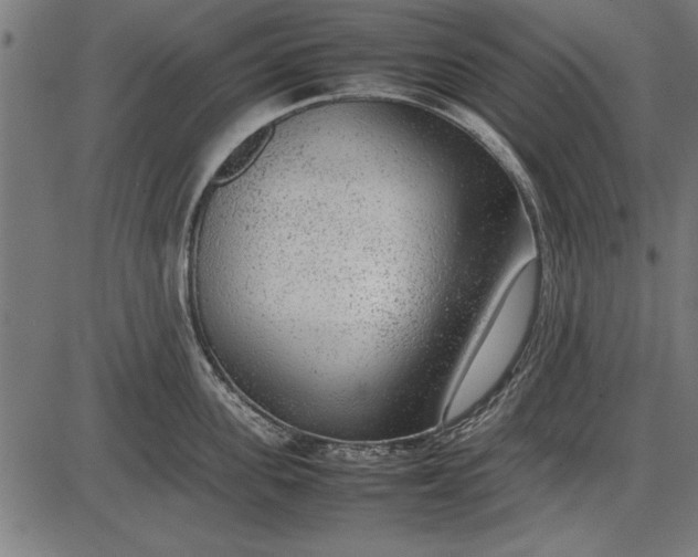 X0000086080955200704091258