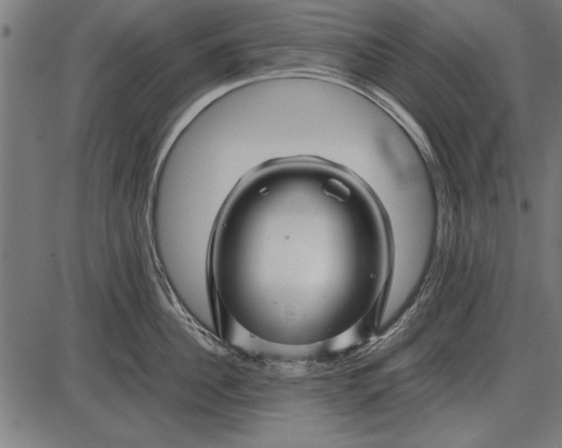 X0000086080956200704091258