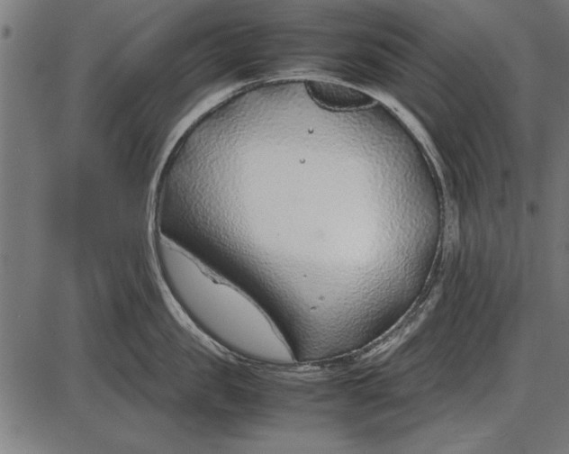 X0000086080957200704091258