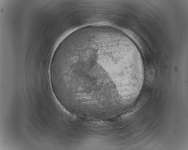 X0000086080959200704091258