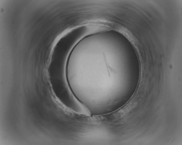 X0000086080960200704091258