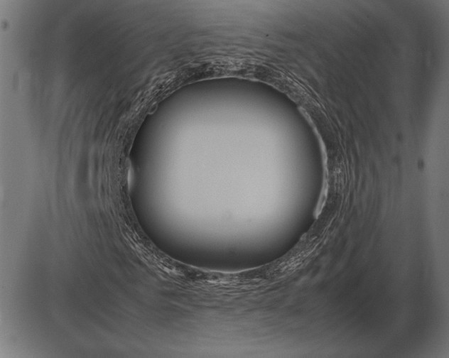 X0000086080961200704091257