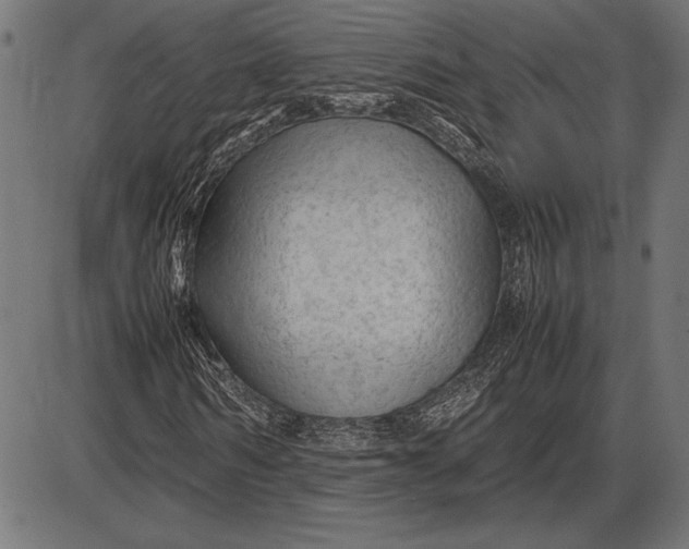 X0000086080962200704091257