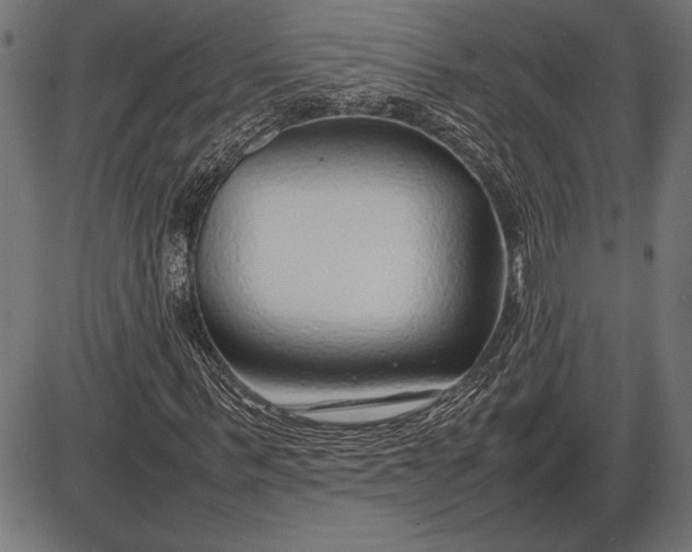 X0000086080963200704091257