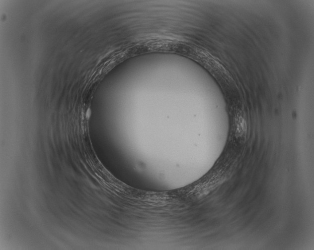 X0000086080964200704091257