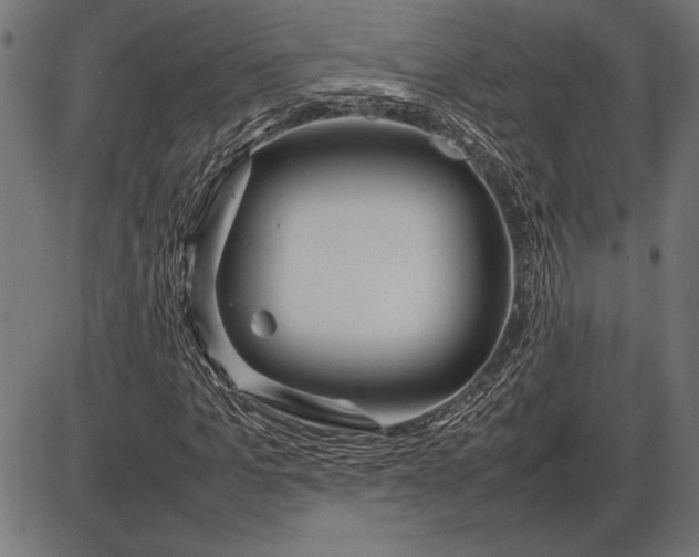 X0000086080965200704091257