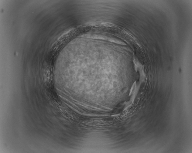 X0000086080966200704091257